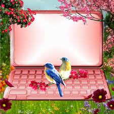 That's why we created zo streams, a combination of blogs, photo albums and social media. Imikimi Zo Spring Frames Spring Colection 10 Thats Mimi Thatsmimi