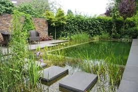 Natural Pool Pond And Water Garden With Stepping Stones Bionova Nj Natural Pool Natural Swimming Pools Natural Swimming Ponds
