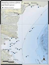 Image result for Indigoblaa 1986 Sado Denmark