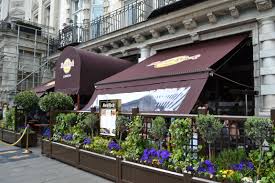 4645 carmel mountain rd torrey hills shopping center great place for poke bowls and tacos! 44 Hard Rock Cafe Ideas Hard Rock Cafe Hard Rock Great Places