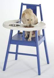 photoblog doggie high chair happy april fool s day best baby high chair high chair dog chair