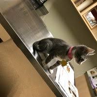 Check back frequently as new jobs are posted every day. Rancho Regional Veterinary Hospital 2 Tips From 74 Visitors