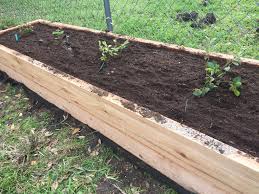 Check spelling or type a new query. Building A Raised Bed Berry Bramble Mrs Millennial