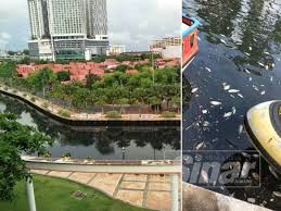 Jadual air laut pasang surut 2020 for android apk download. Sungai Melaka Bertukar Warna Hitam Bau Busuk