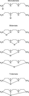 $\begingroup$ 1st, all of your examples are monodentate. Overcoming The Chelate Effect Hypodentate Coordination Of Common Multidentate Amine Ligands Sciencedirect