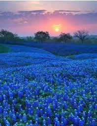 Dolores Best-Proctor Obituary (1926