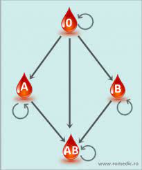 Grupa ab este una extrem de rara, mai putin de 5% din populatia lumii se inscriu in aceasta grupa sangvina. Compatibilitatea Grupelor De Sange Anatomie Si Fiziologie