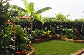 My Little Tropical Garden Il Mio Piccolo Giardino Tropicale Busnago Mb Italy Tropical Garden Design Small Tropical Gardens Tropical Garden