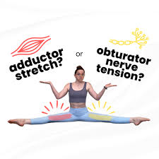 Image result for Obturator Sign