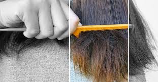 Wrap the damp hair in a paper towel and press down firmly to make the hair flat. How To Make A Human Hair Wig Soft Again Revive A Wig