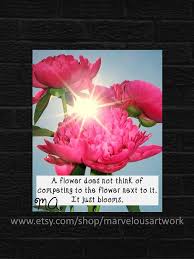 We did not find results for: Pink Flower Quotes Quotesgram