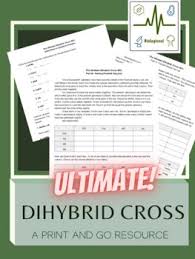 Chapter 10 dihybrid cross worksheet key , the worksheet is an assortment of 4 intriguing pursuits that will enhance your kid's knowledge and abilities. Dihybrid Cross Worksheet Teachers Pay Teachers