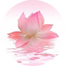 Franklin skin and laser, franklin, tn. Laser Skin Treatment Hair Removal Nashville Brentwood Franklin Tn