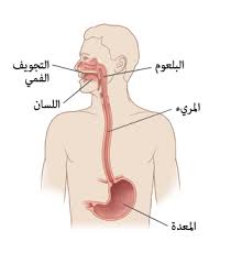 ارتجاع المريء لدى البالغين