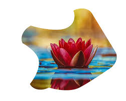 Download How To Do Image Clipping By Using Svg Shapes Stack Overflow