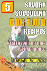 I Tried These Five Dog Food Recipes And They Re Really Good My Dog Certainly Loves Them A Lot Better Healthy Dog Food Recipes Dog Food Recipes Best Dog Food
