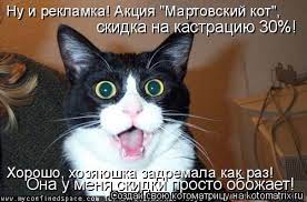 Котоматрица: Ну и рекламка! Акция &amp;amp;quot;Мартовский кот&amp;amp;quot;, скидка на кастрацию  30%! Хорошо, хозяюшка
