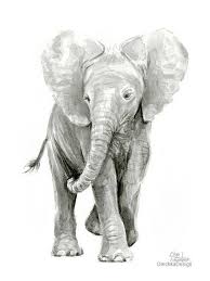 Black And White Elephant Wall Pictures Elephant Art Elephant Print Elephant Wall Art Watercolor Etsy Elephant Painting Elephant Art Watercolor Elephant