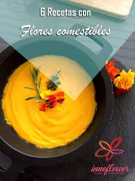 Esta flor ha sido el símbolo de la belleza para muchas culturas. 6 Recetas Con Flores Comestibles Innoflower