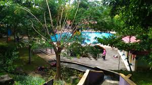 Wana wisata baturraden yang berada di kawasan banyumas dan merupakan kawasan wisata nama: Dream Land Ajibarang Wisata Bermain Air Ramah Untuk Keluarga Andi Dwi Riyanto