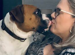 My Babies. #Boxer Otis 💙 #Bulldog Willow 💖