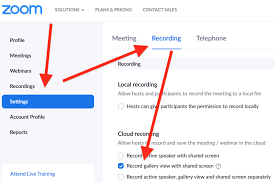 How to make co host in zoom in phone. How To Record Zoom Gallery View Instead Of Active Speaker View Christopher J Martin