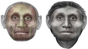 La Australopithecus afarensis Lucy murió al caerse de un árbol