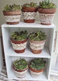 Pin On Succulent Garden