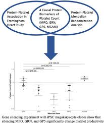 Ever, the dido1 pqtl was not significantly associated with. Integrative Genomic Analysis Reveals Four Protein Biomarkers For Platelet Traits Circulation Research