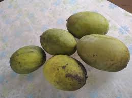 Mangga ringan, mangga epal, mangga lemak dan beberapa nama lain. Khasiat Buah Mangga Harum Manis Myilmu Pelita