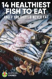 One easy trick to determine a fish's flavor 14 Healthiest Best Fish To Eat And 7 To Absolutely Steer Clear Of