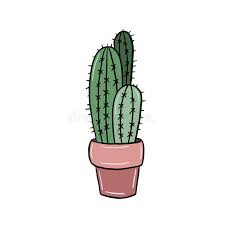 Here presented 49+ cactus cartoon drawing images for free to download, print or share. Green Cactus Vector Drawing In Doodle Style On White Background Cactus Freehand Drawing The Inscription Vector Stock Illustration Illustration Of Background Plant 146868661