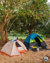 Maybe you would like to learn more about one of these? 50 Car Camping Road Trip Essentials Nomads With A Purpose
