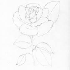Vaza cu flori (in creion). 13 Trandafiri Ideas Trandafiri Desene Artistice SchiÈ›e
