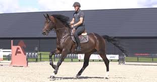 Bildergebnis für Karin Schou Andersen