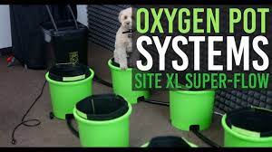 How To Setup Oxygenpot System Ebb Flow Hydroponics System Flow System