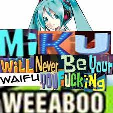 Space Laces X Hatsune Miku Satisfaction Choppaz By Yikes Vocaloid Memes Miku Hatsune