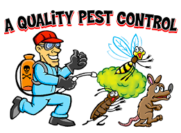 Fill out the simple form and a member of our team will be in contact with you shortly! Our Business Specialises In Pest Control Services With Our Expert Team Members We Provide Many Pest Contro Termite Control Pest Control Pest Control Services
