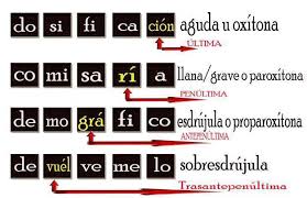 Naci Que Tipo De Palabra Es Brainly Lat