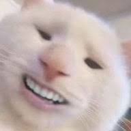 Cheat Codes AMS and Sx Os, Add and Request