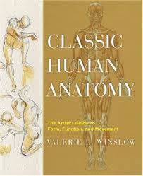 Whether you're a medical student or just curious, this list of the best books about human anatomy, these books can help you learn more about human. Best Anatomy Books For Artists Some Of My Favourites Parka Blogs