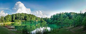 Hours may change under current circumstances Scenic Cabin Rentals About Facebook