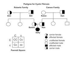 2 Pedigree 1 Genetics Challenge