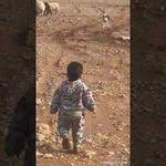 استعراض جي على ١٨٠ youtube in 2021 car seats vehicles car