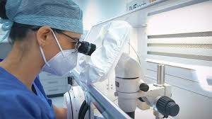 Centru de diagnostic si tratament cluj. Primele Rezultate Pozitive Ale Centrul De Fertilitate Si Fiv Regina Maria Cluj Reginamaria Ro