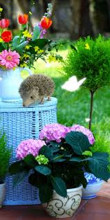 Gif Najdeno Polzovatelem Kto To Nahodite I Sohranyajte Svoi Sobstvennye Izobrazheniya I Video V We Heart It Amazing Gifs Animated Gif Flowers