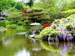 Free Daily Desktop Android Iphone Wallpaper By Webshots Japanese Garden Beautiful Gardens Japanese Garden Design