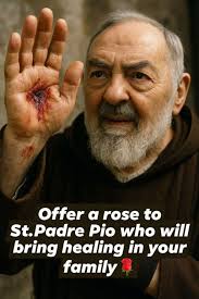 Offer α rose to St. St.Padre Pio who will bring healing in your family