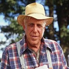 What is Cousin Fred's role in the movie This Christmas?