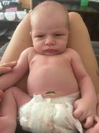 Looking for breast milk in Fallon, NV?